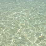 海