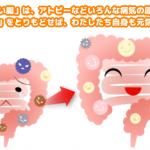 弱った腸と元気な腸