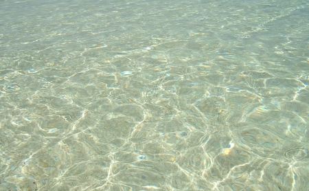 海