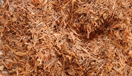 パウダルコの乾燥樹皮